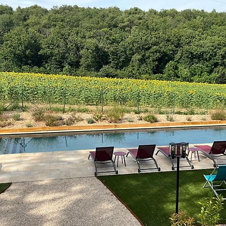 Sans Souci Bed And Breakfast Luxe Heated Pool And Restaurant Luzillé Exteriör bild