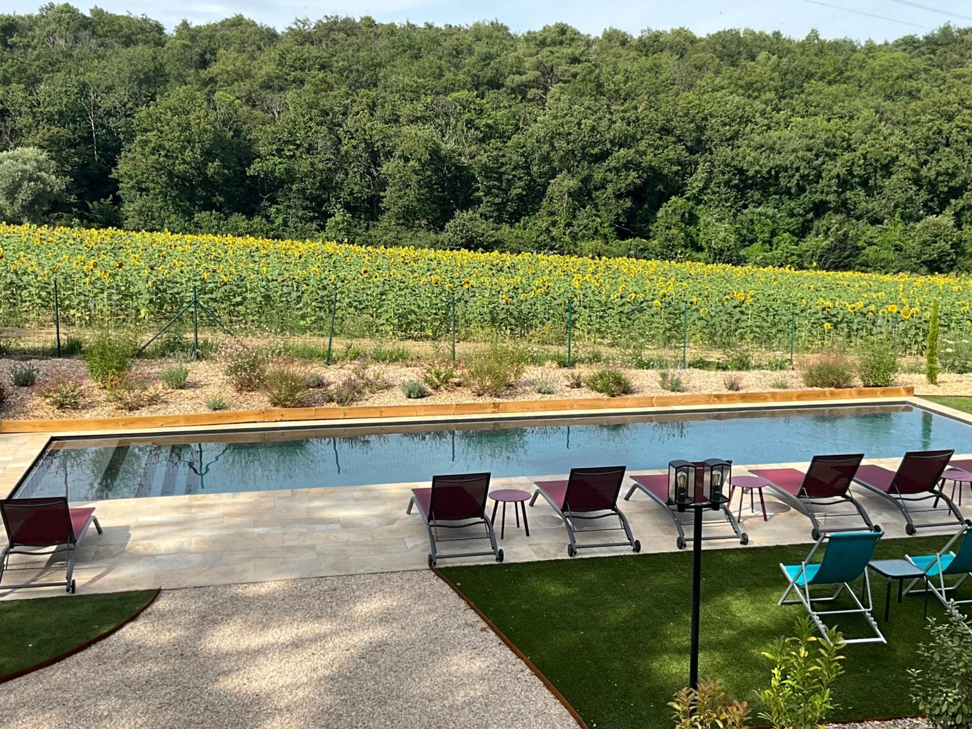 Sans Souci Bed And Breakfast Luxe Heated Pool And Restaurant Luzillé Exteriör bild